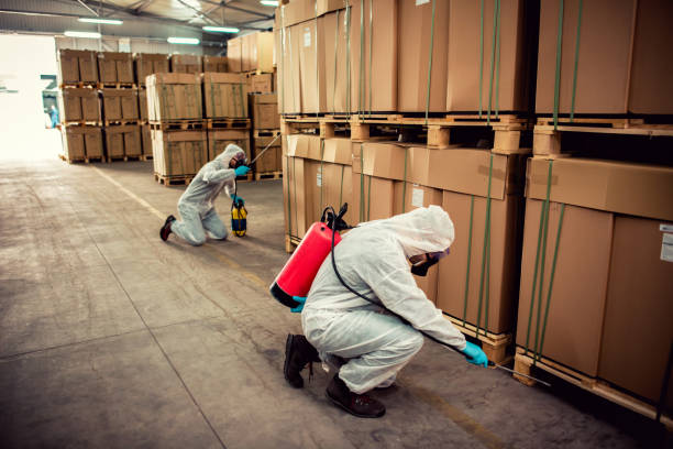 Best Pest Prevention Services  in Dianapolis, IN