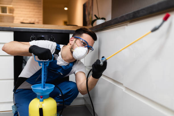 Pest Prevention Services in Indianapolis, IN