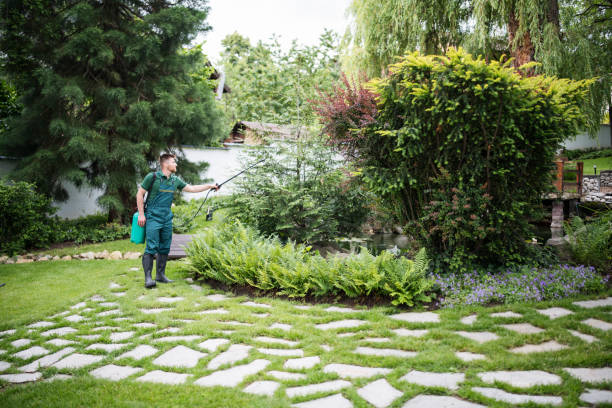 Best Local Pest Control Services  in Dianapolis, IN
