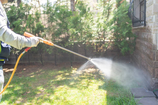 Professional Pest Control in Indianapolis, IN