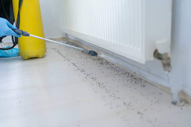 Best Pest Control for Restaurants  in Dianapolis, IN